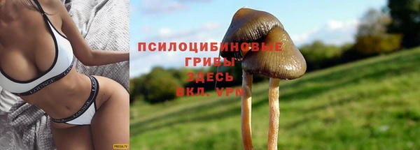 героин Нязепетровск